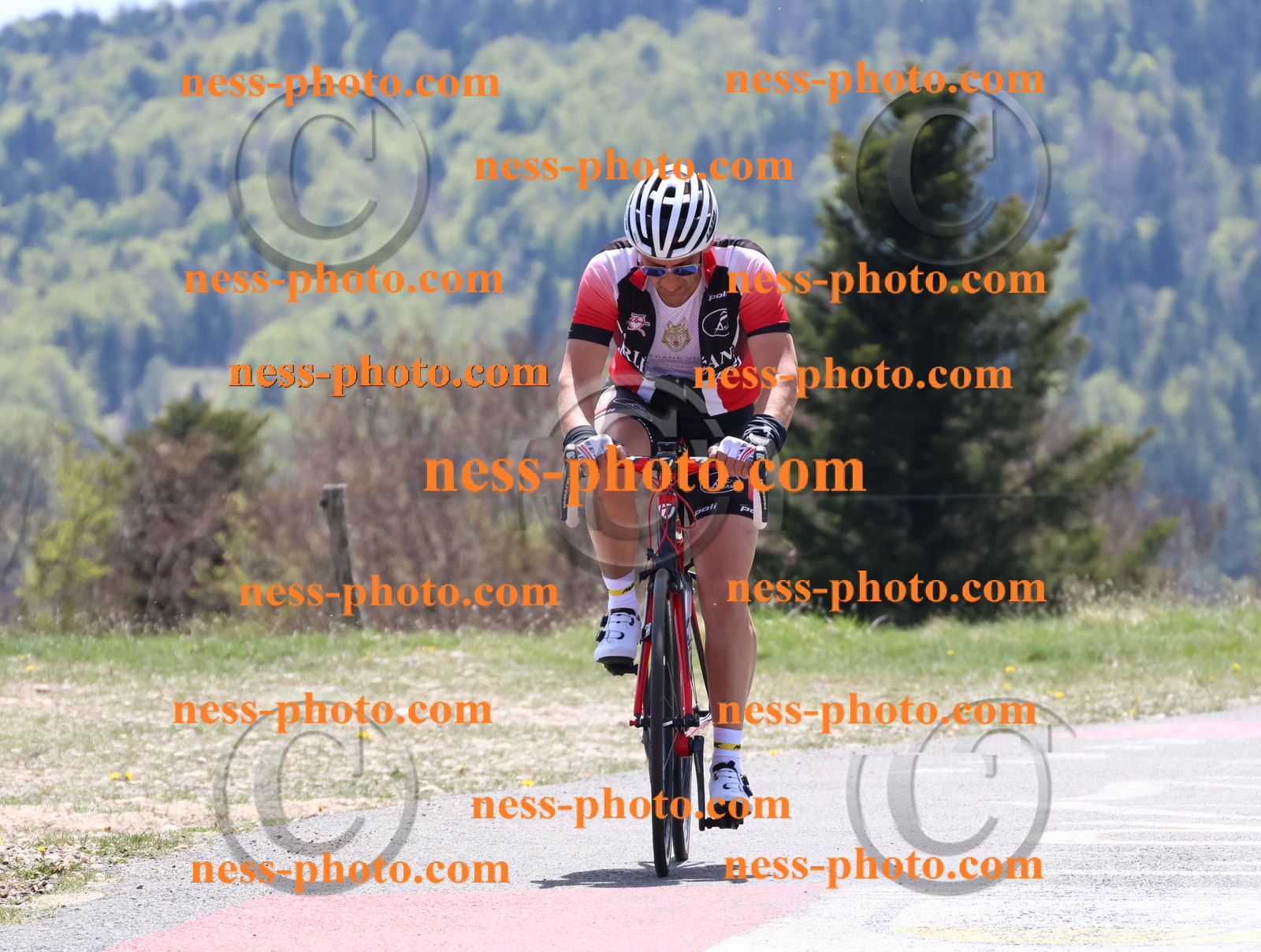 Col du Grand Colombier (515).JPG