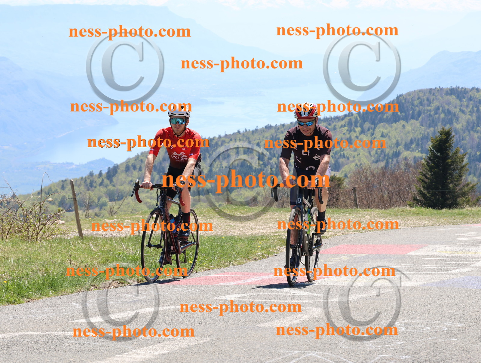 Col du Grand Colombier (603).JPG