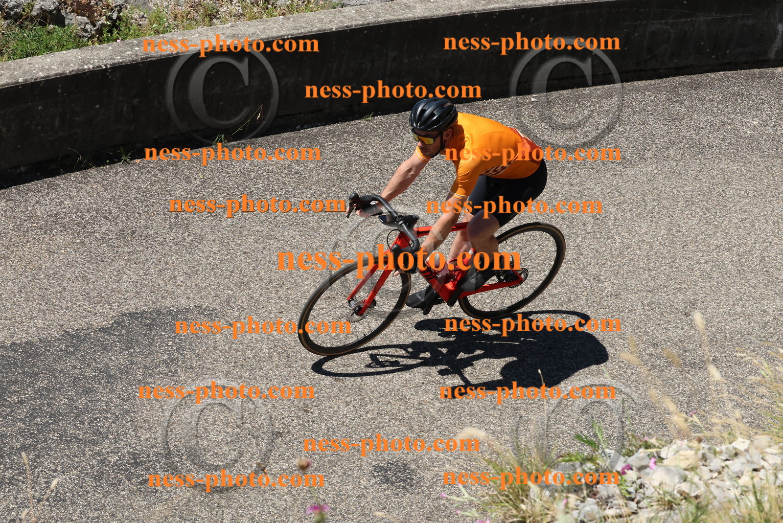 Col du Grand Colombier (575).JPG