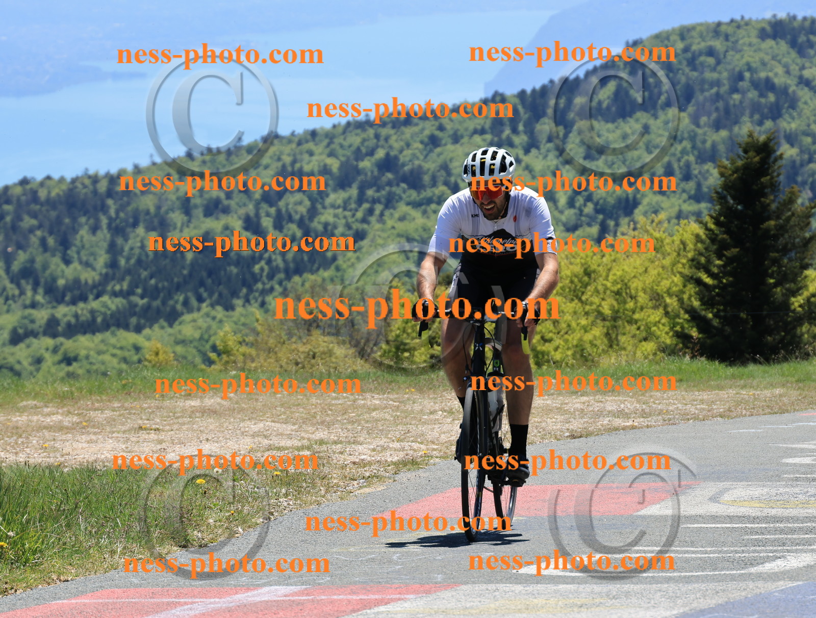 Col du Grand Colombier (395).JPG