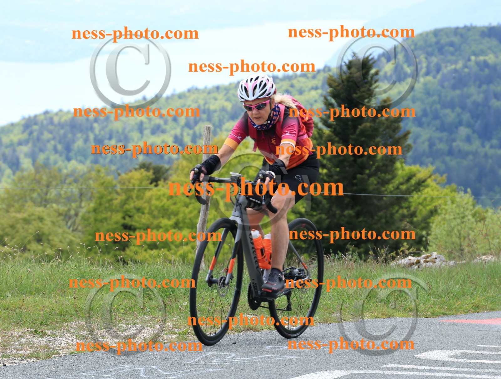 Col du Grand Colombier (412).JPG