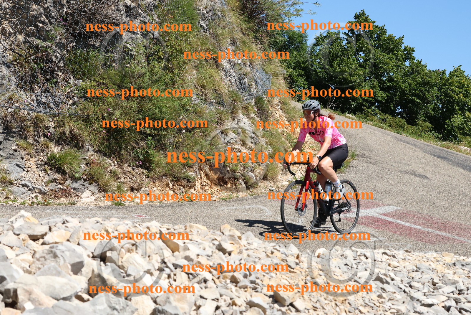 Col du Grand Colombier (679).JPG