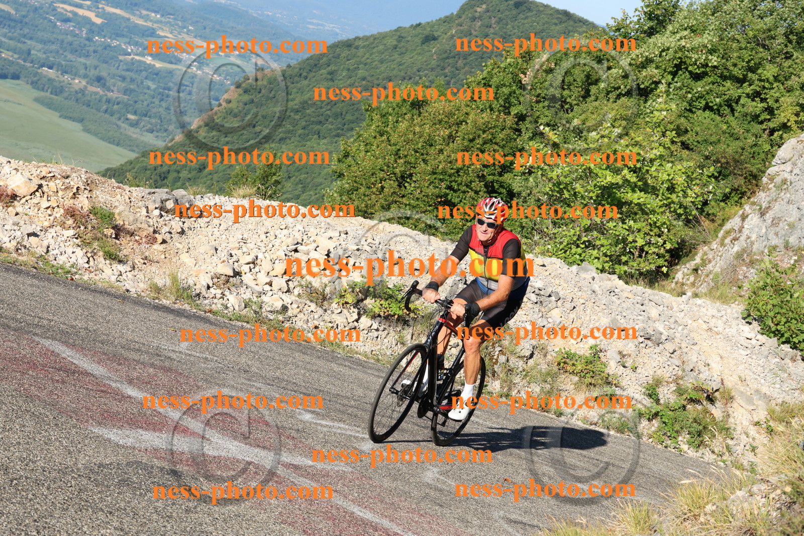 Col du Grand Colombier (293).JPG