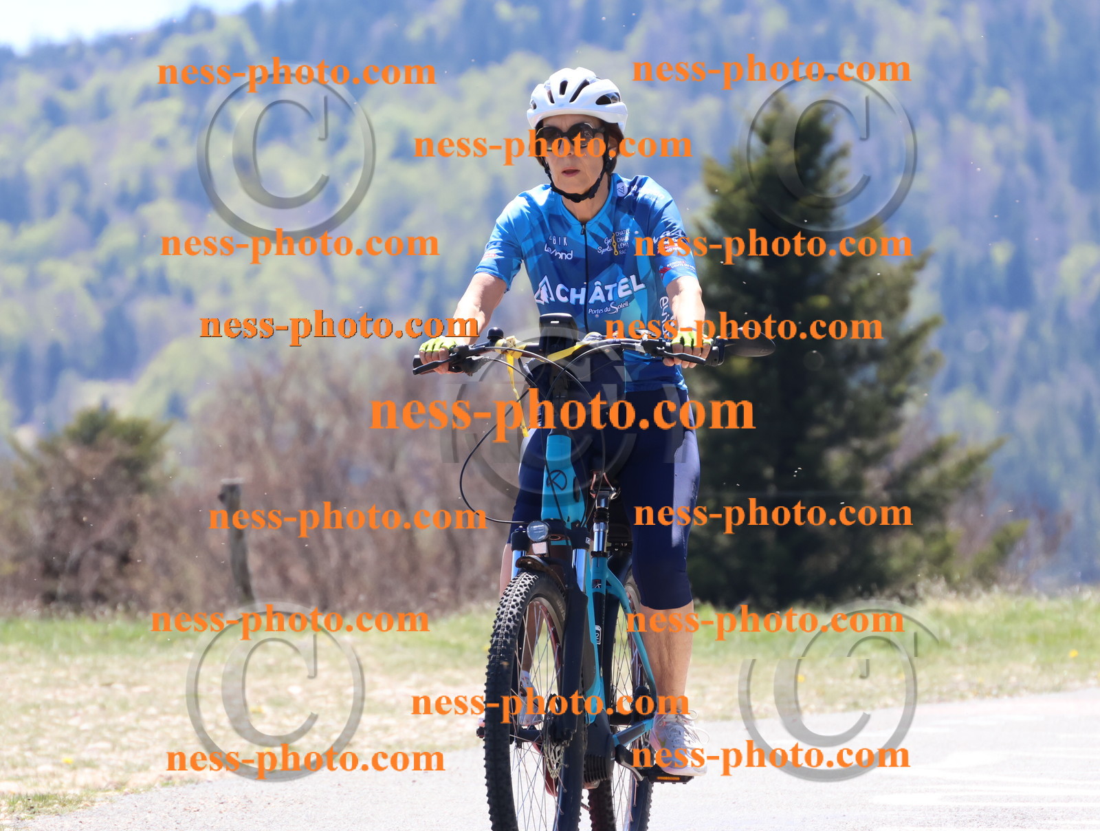 Col du Grand Colombier (495).JPG