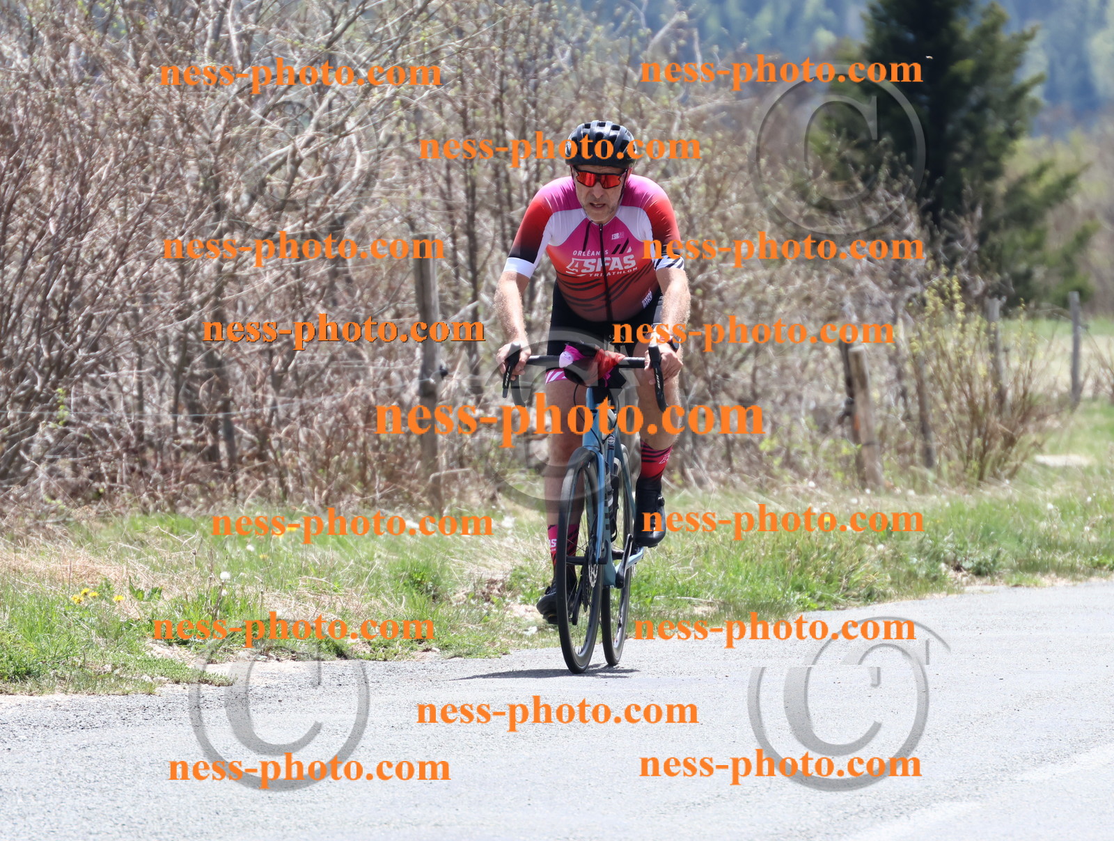 Col du Grand Colombier (660).JPG