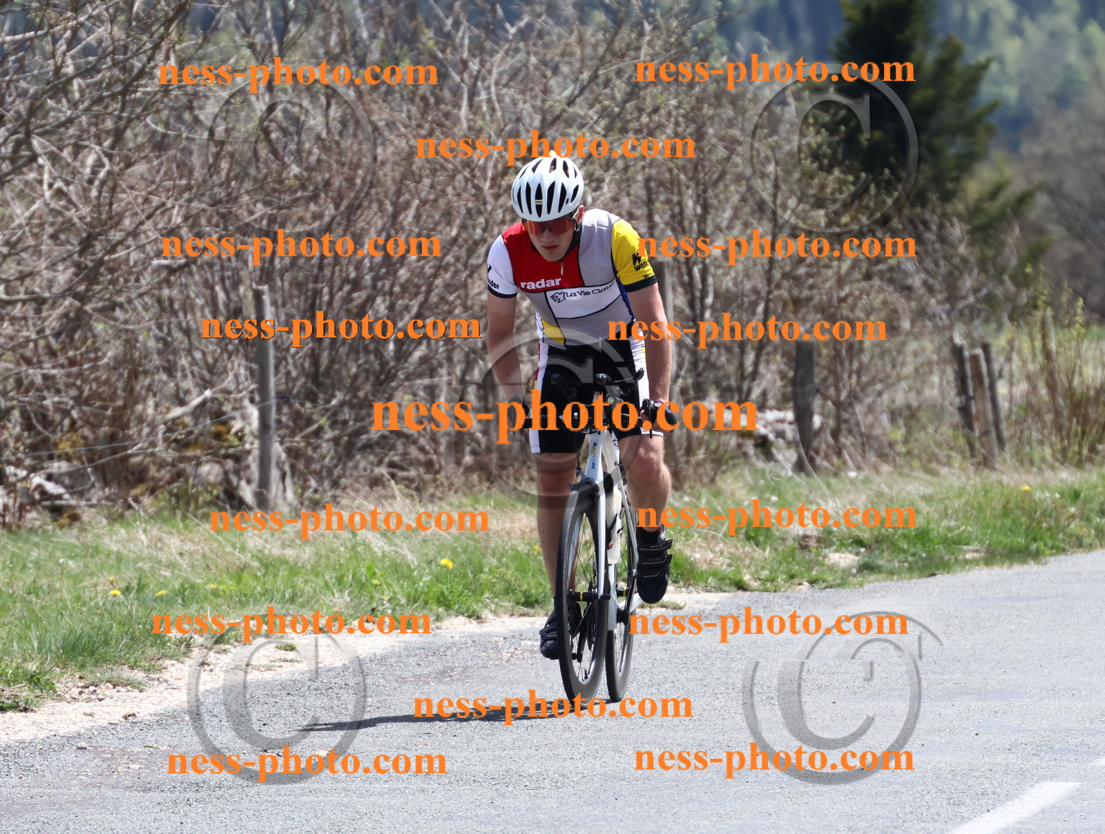 Col du Grand Colombier (850).JPG