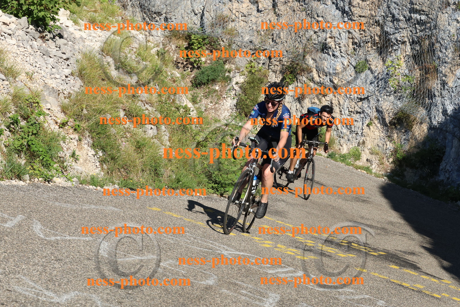 Col du Grand Colombier (66).JPG