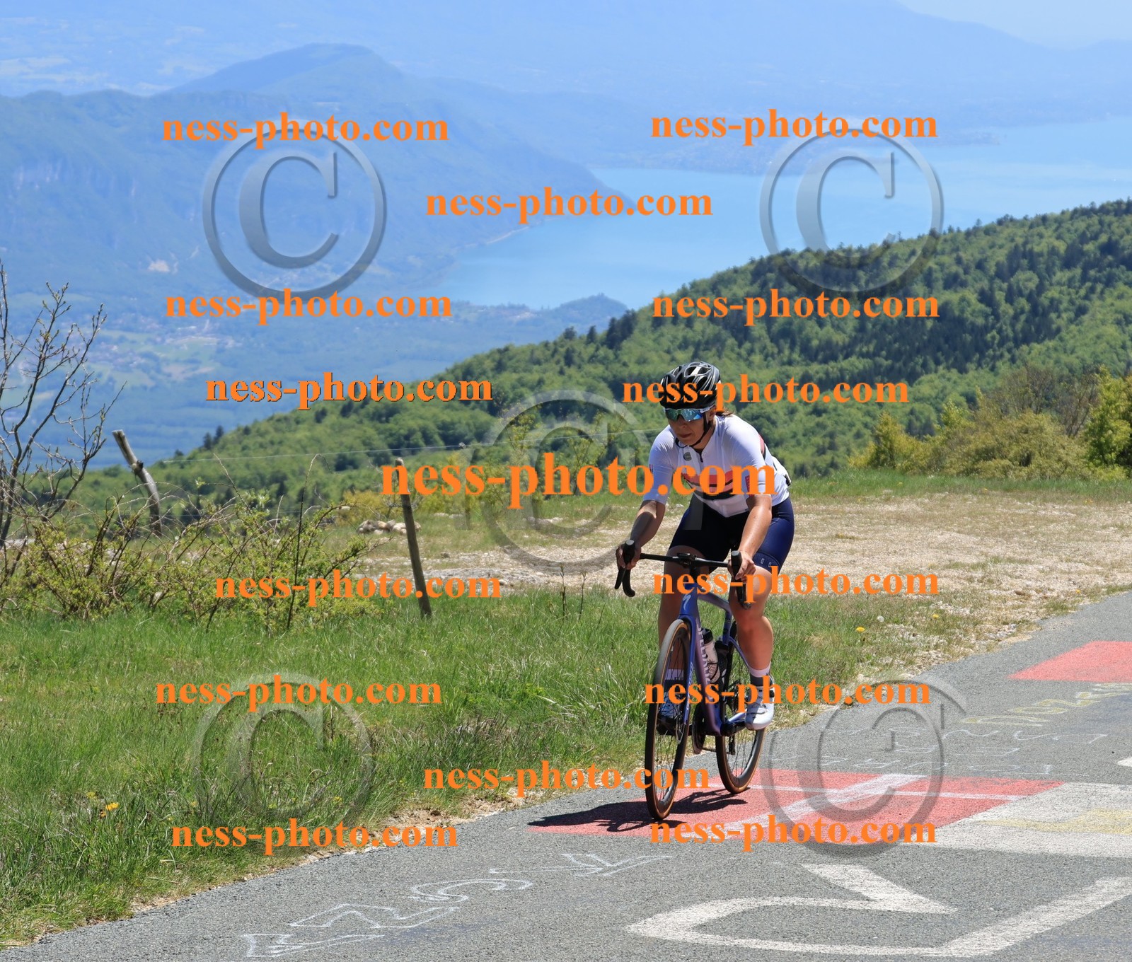 Col du Grand Colombier (451).JPG