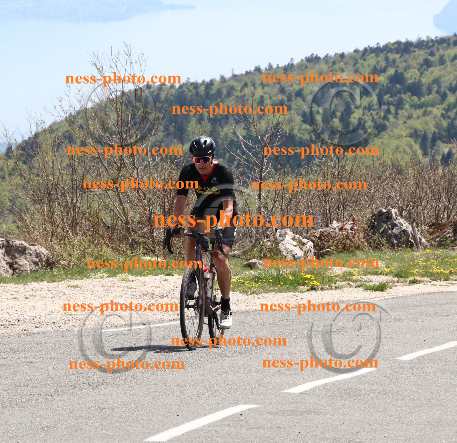 Col du Grand Colombier (788).JPG