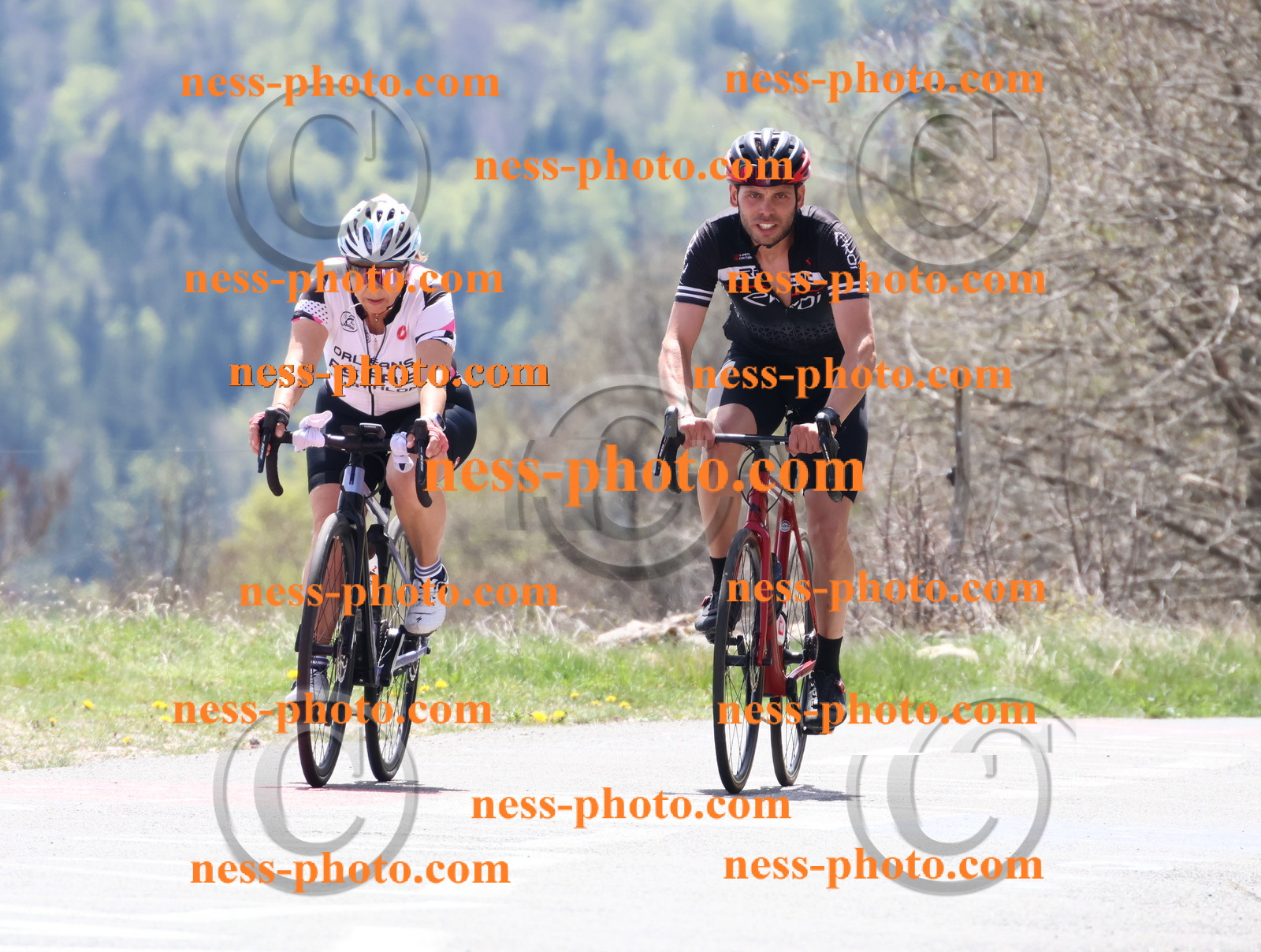 Col du Grand Colombier (462).JPG