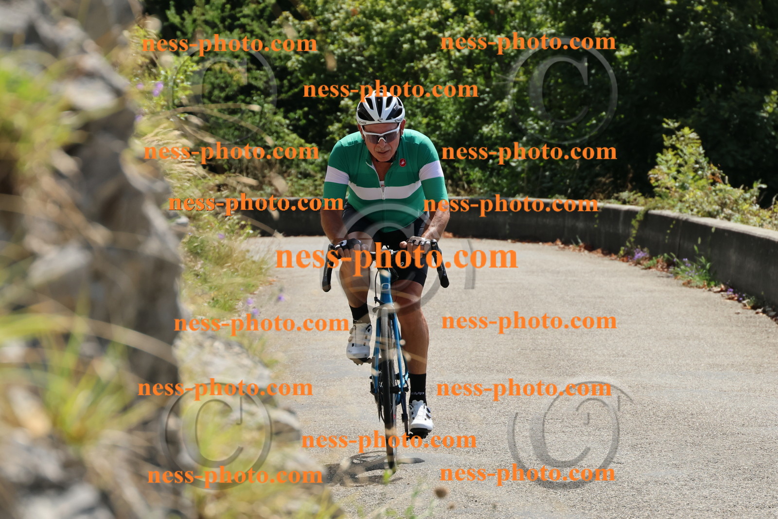 Col du Grand Colombier (277).JPG