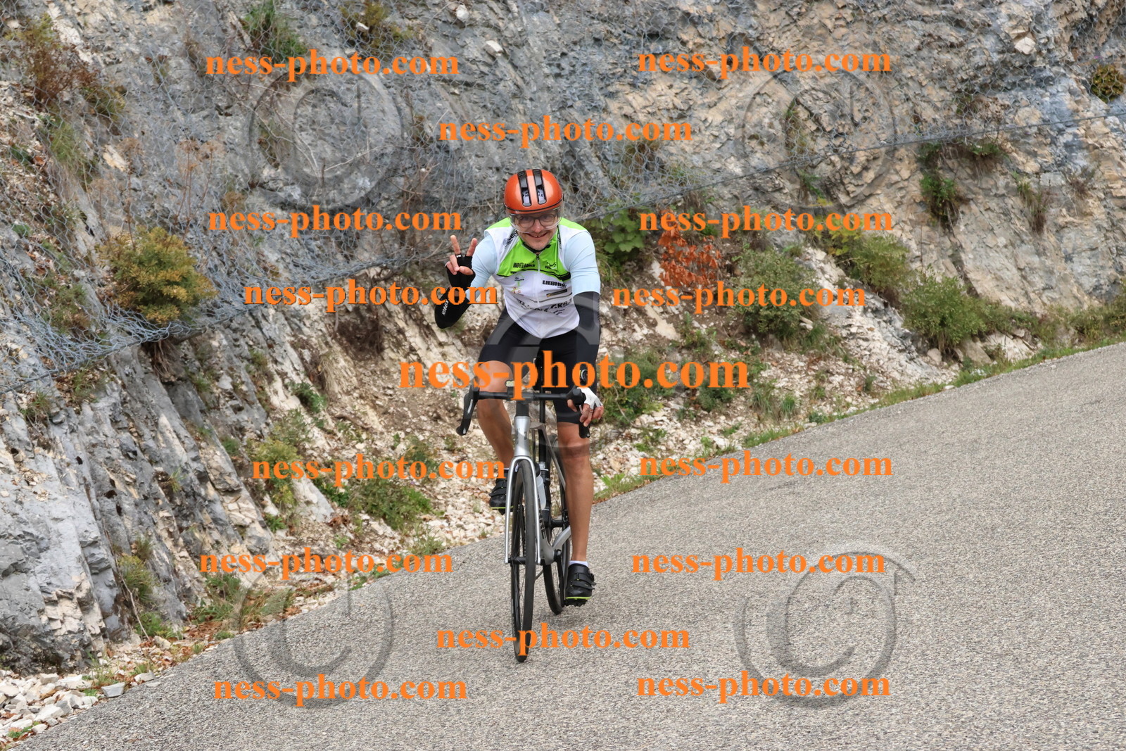 Col du Grand Colombier (428).JPG