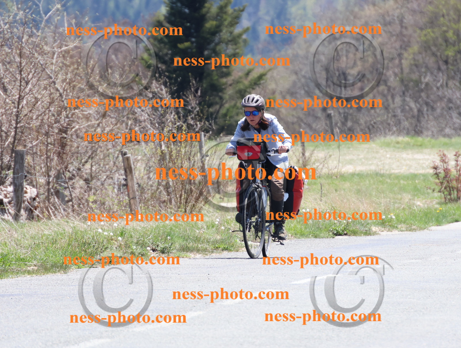 Col du Grand Colombier (834).JPG