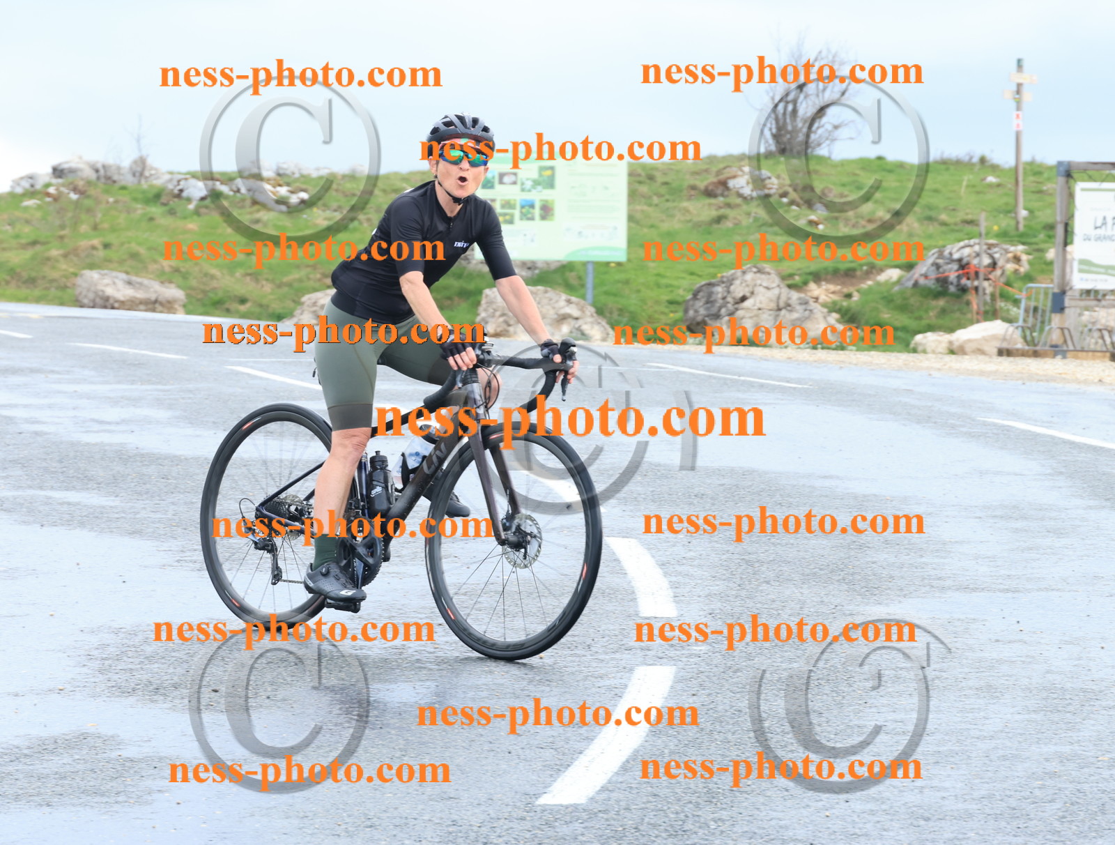 Col du Grand Colombier (236).JPG