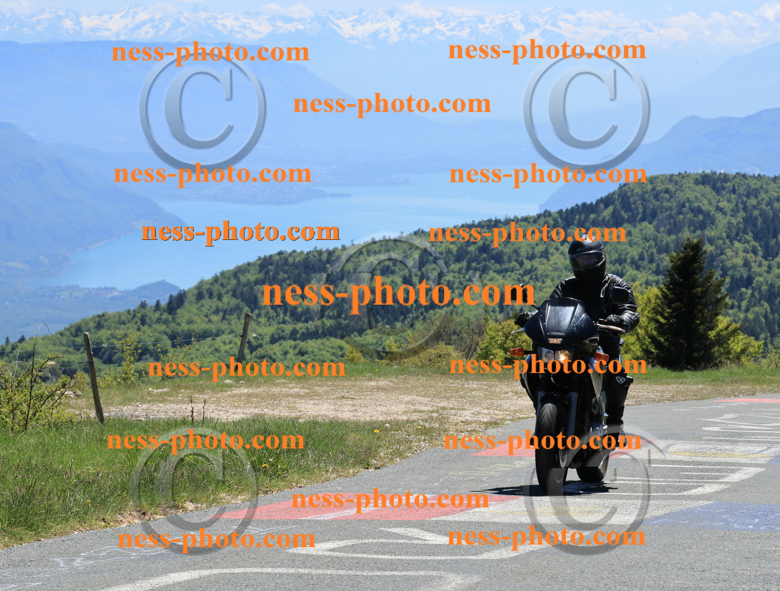 Col du Grand Colombier (241).JPG