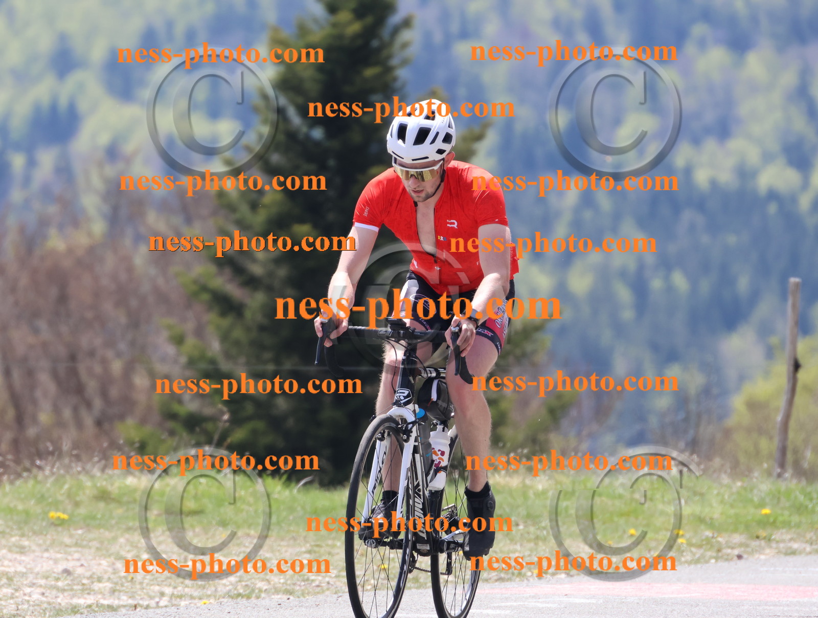 Col du Grand Colombier (296).JPG