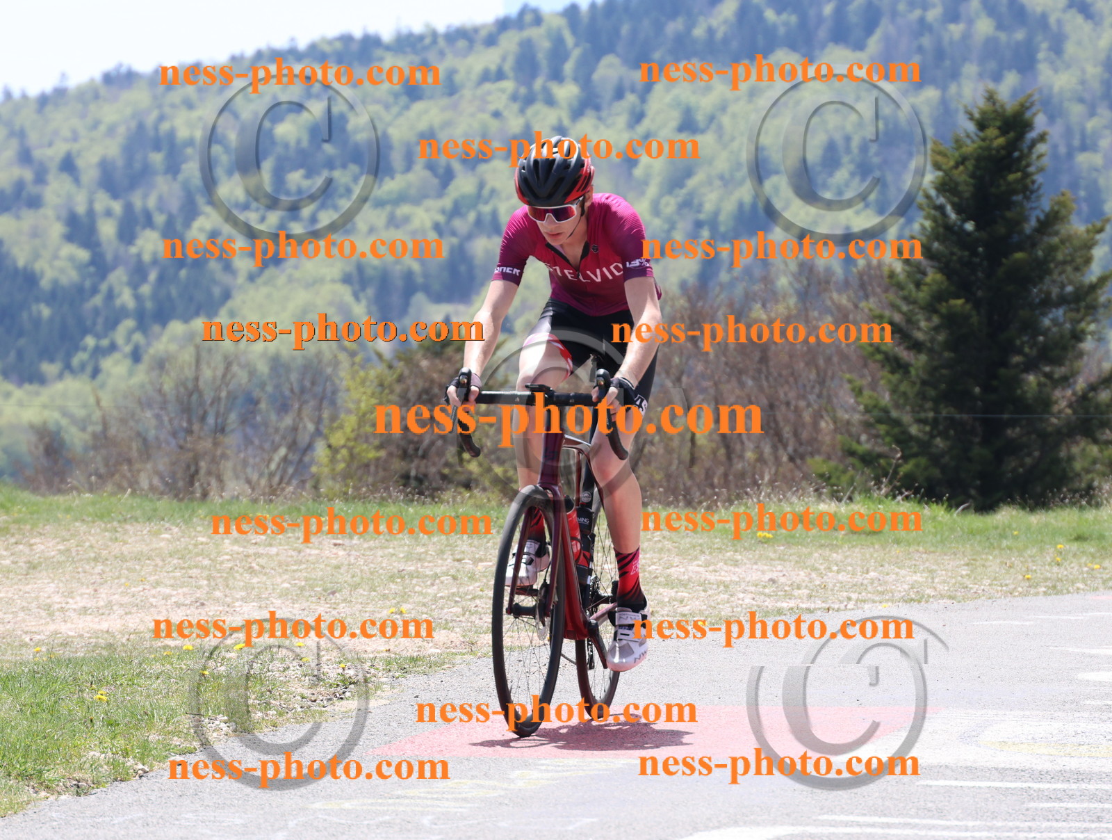 Col du Grand Colombier (269).JPG