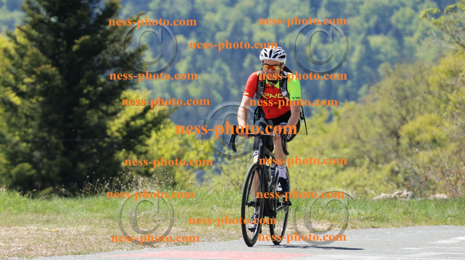 Col du Grand Colombier (59).JPG