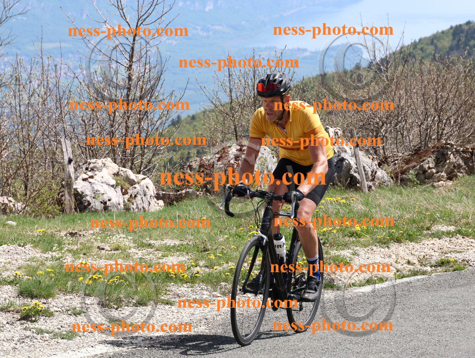 Col du Grand Colombier (915).JPG