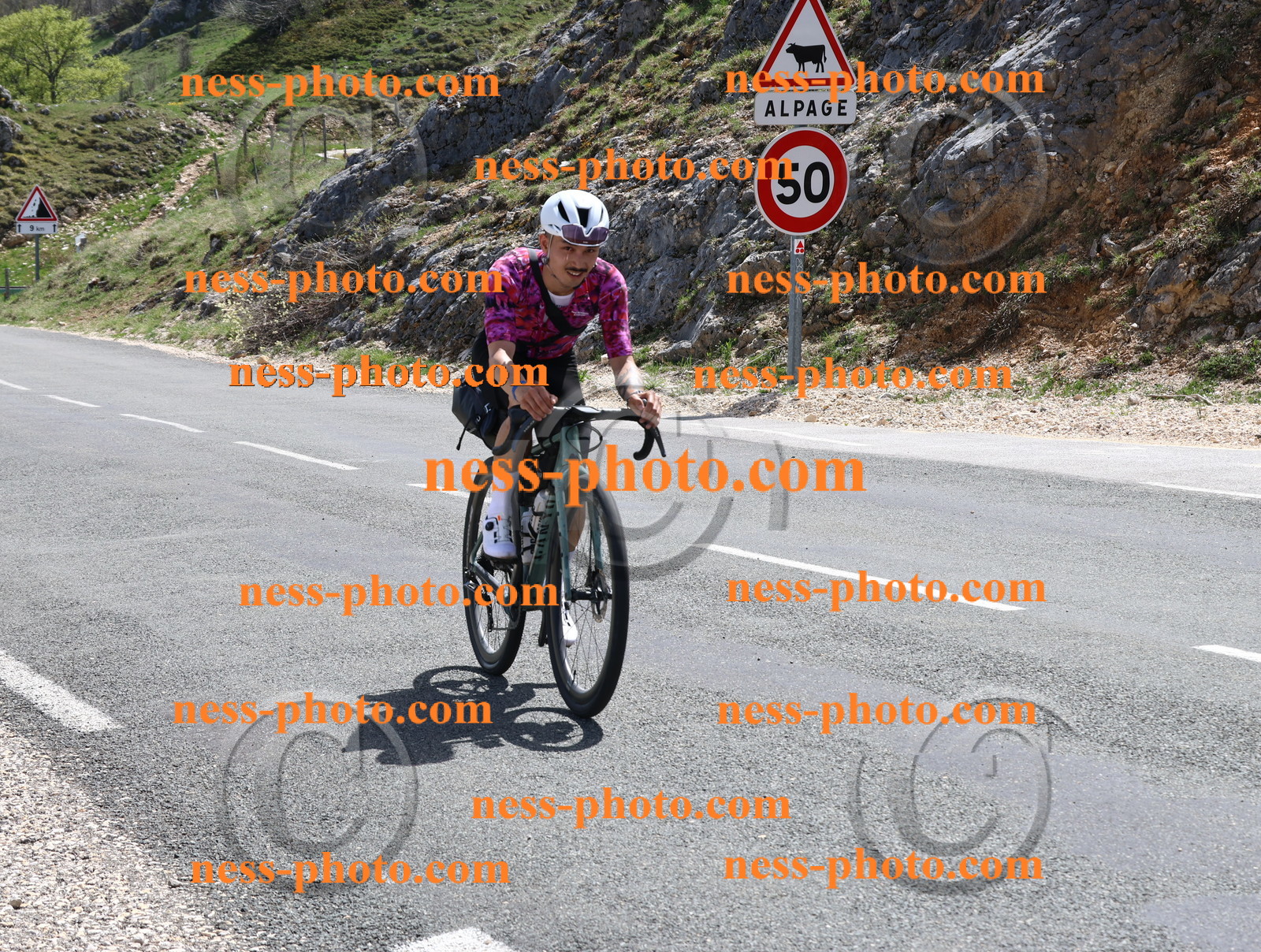 Col du Grand Colombier (930).JPG