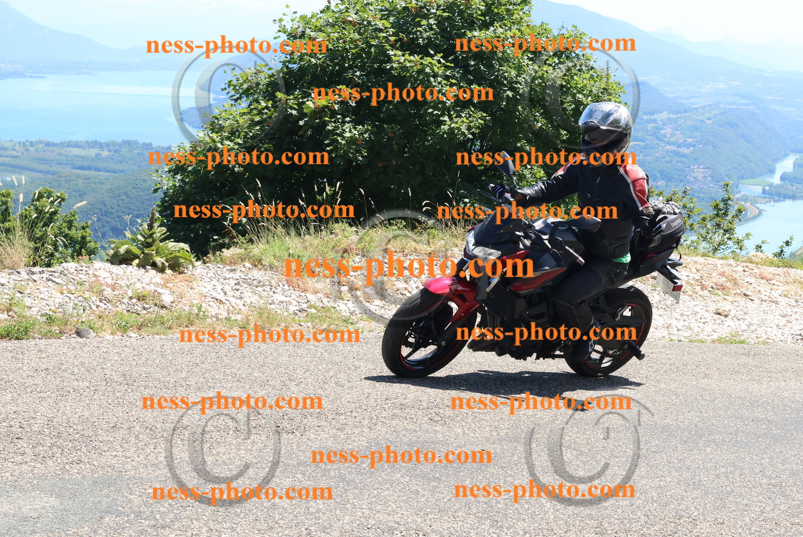 Col du Grand Colombier (234).JPG