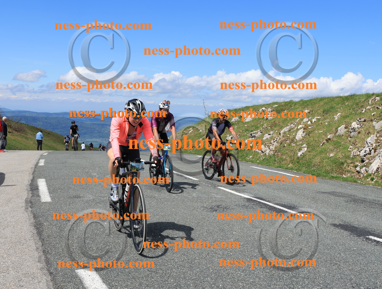 Col du Grand Colombier (1511).JPG