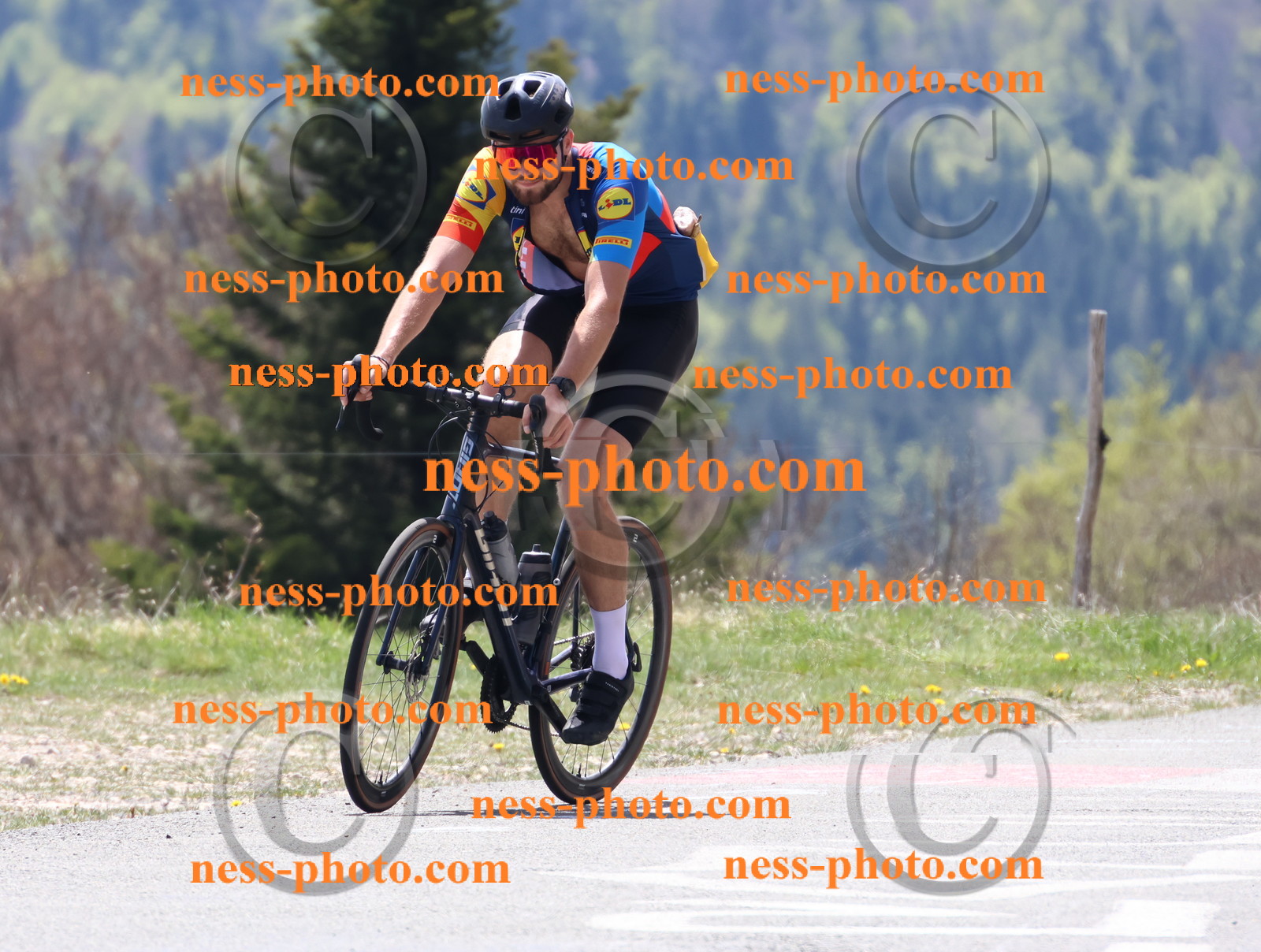 Col du Grand Colombier (353).JPG