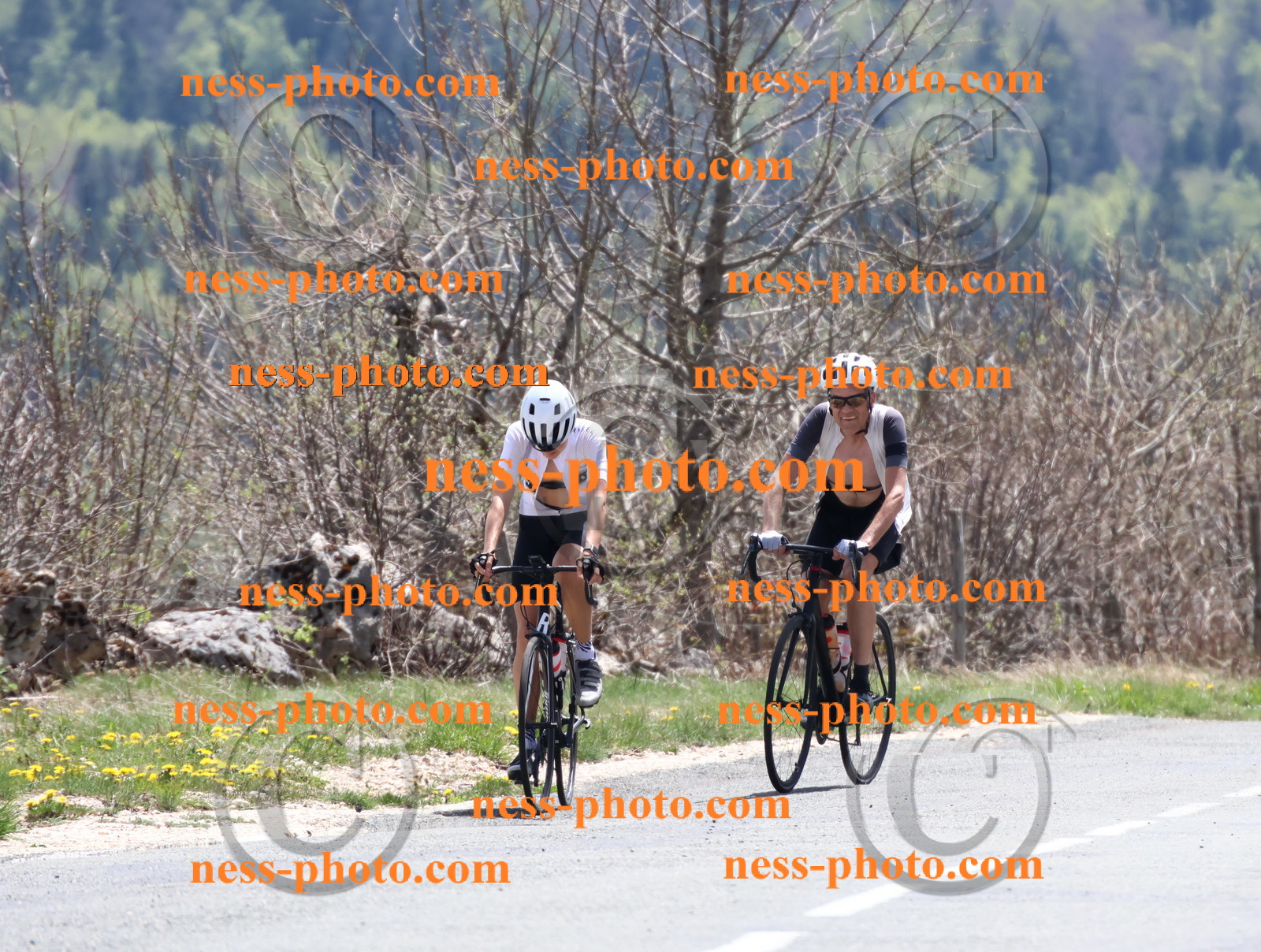 Col du Grand Colombier (745).JPG