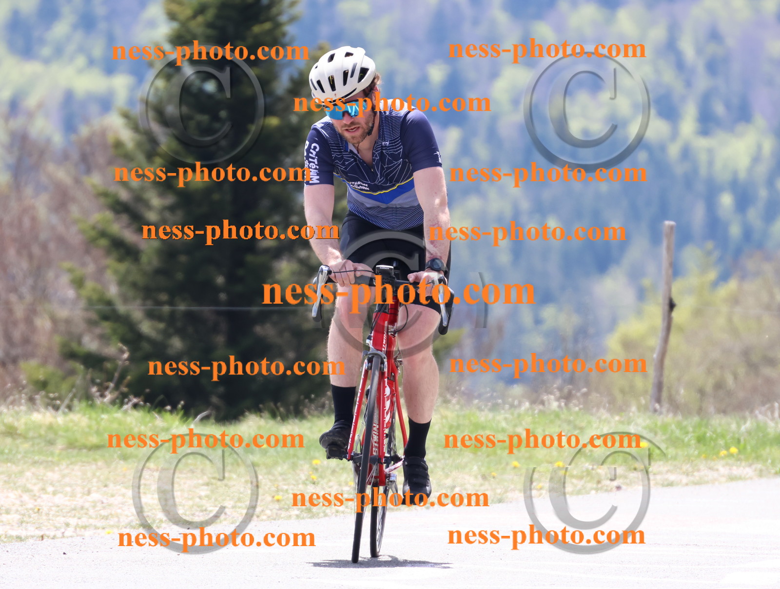 Col du Grand Colombier (390).JPG