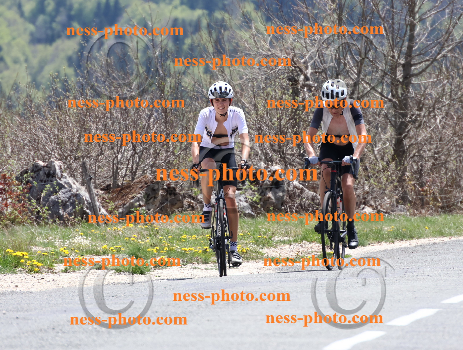 Col du Grand Colombier (747).JPG