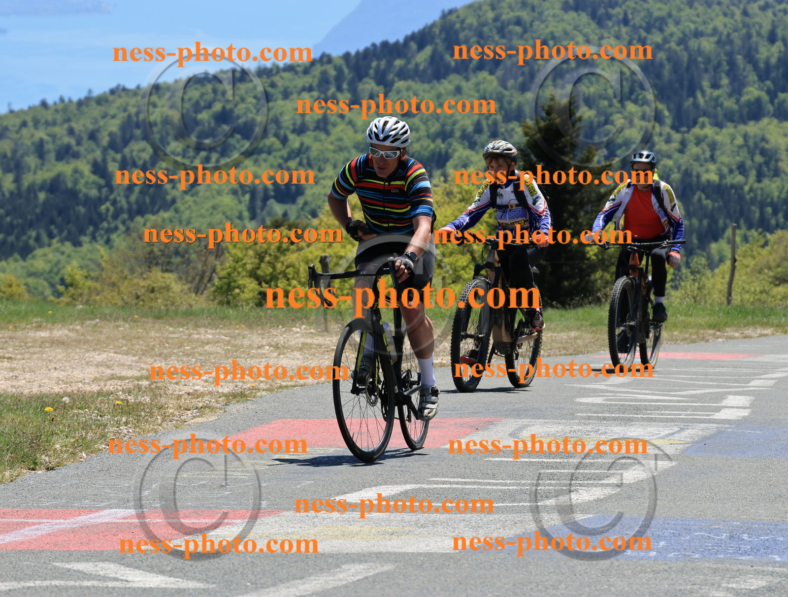 Col du Grand Colombier (430).JPG