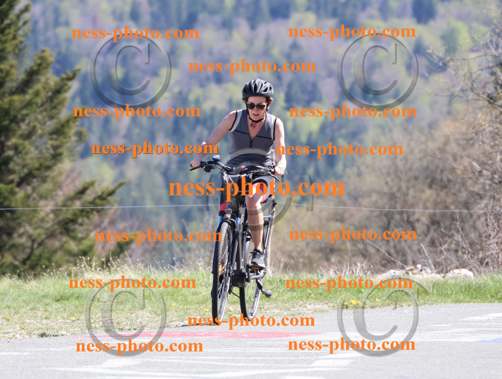 Col du Grand Colombier (1077).JPG