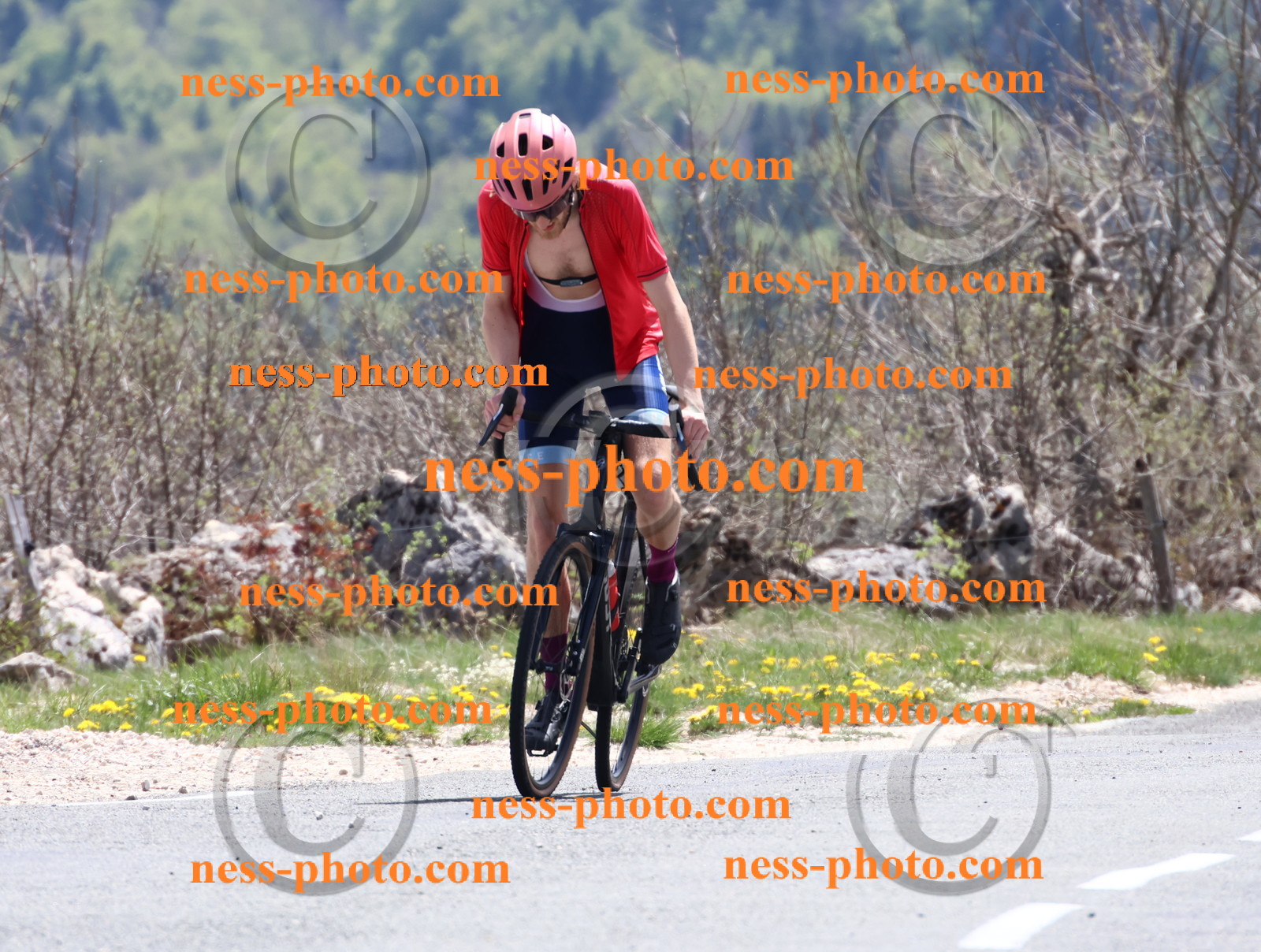 Col du Grand Colombier (696).JPG