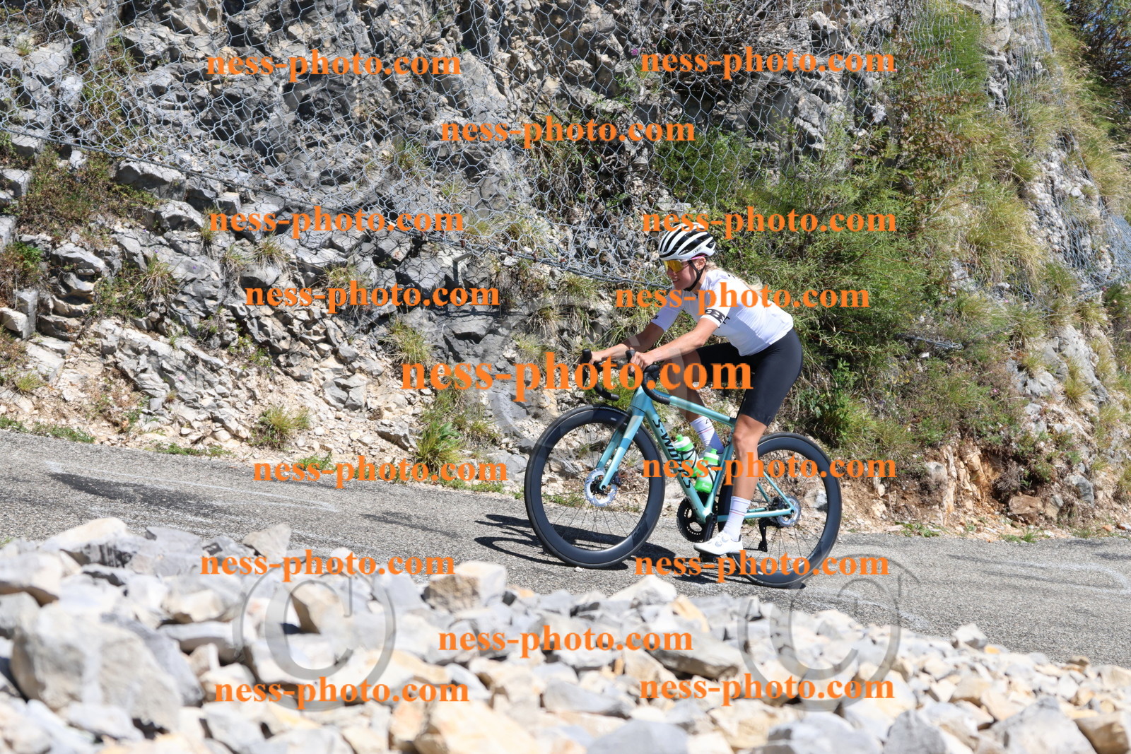 Col du Grand Colombier (194).JPG