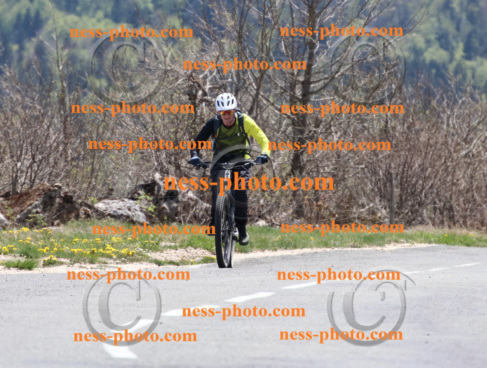 Col du Grand Colombier (740).JPG