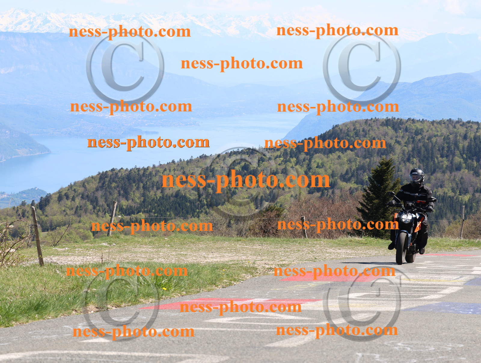 Col du Grand Colombier (282).JPG