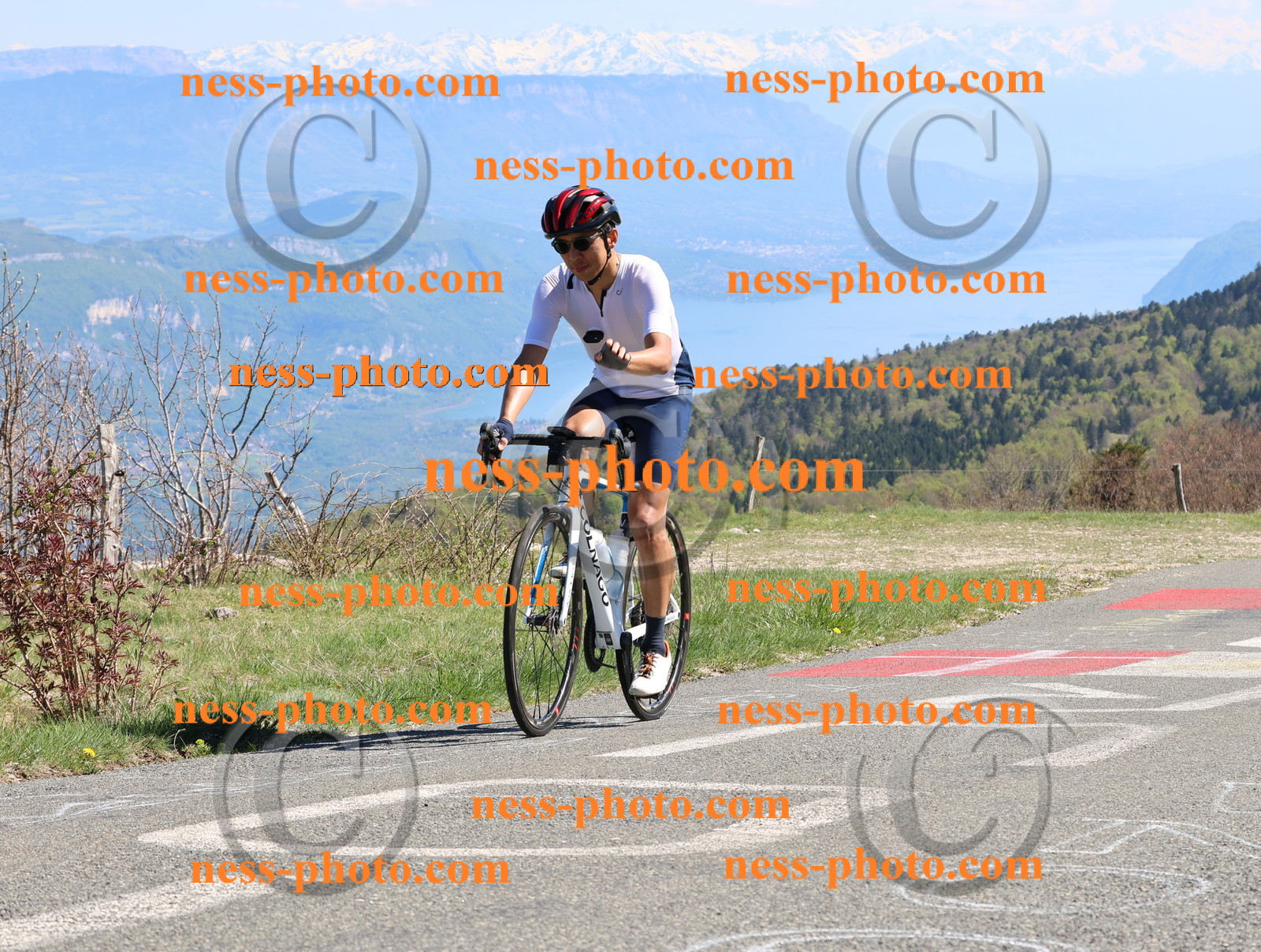 Col du Grand Colombier (1064).JPG