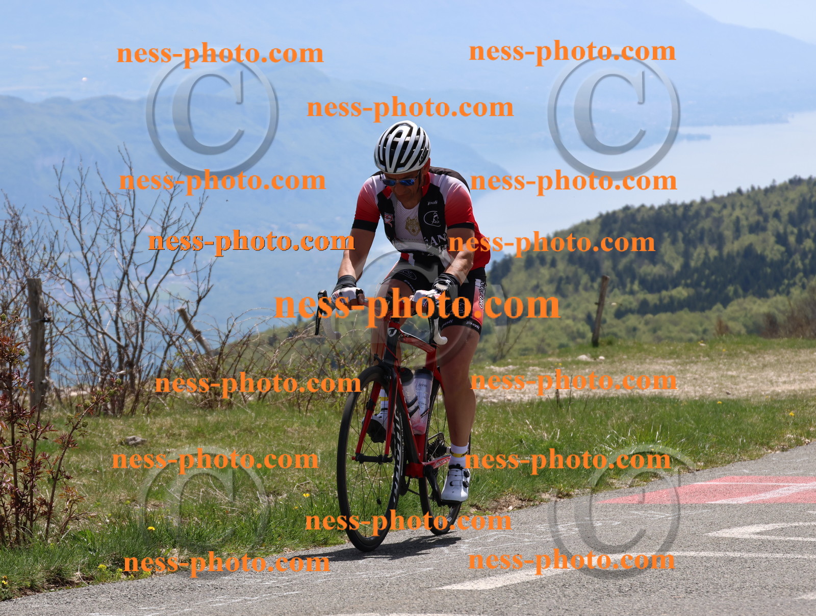 Col du Grand Colombier (518).JPG