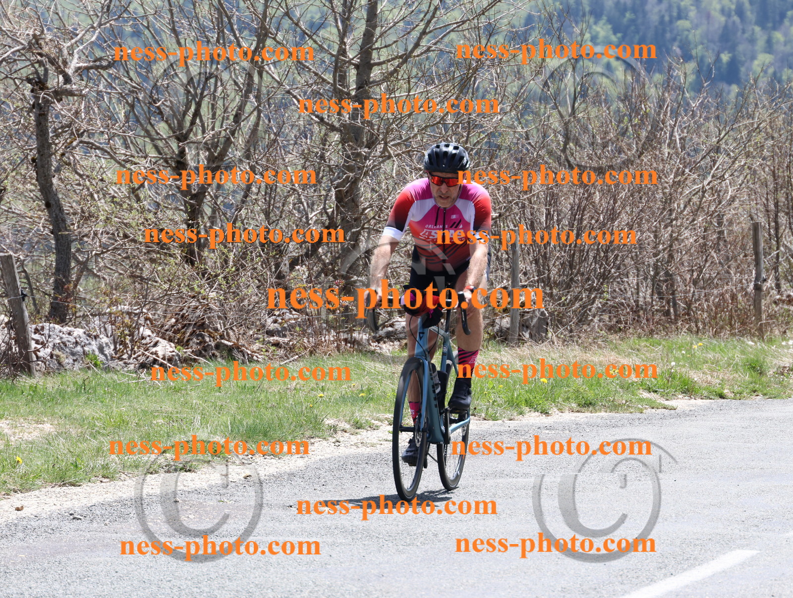 Col du Grand Colombier (662).JPG