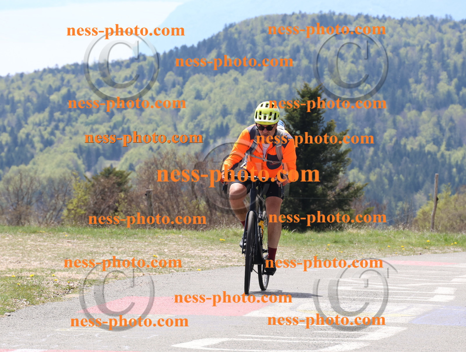 Col du Grand Colombier (161).JPG