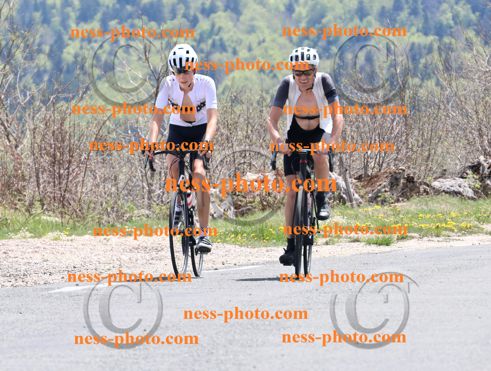 Col du Grand Colombier (752).JPG