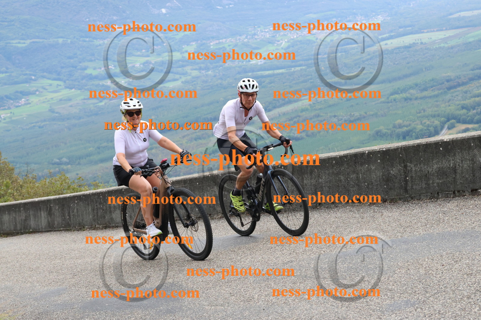 Col du Grand Colombier (495).JPG