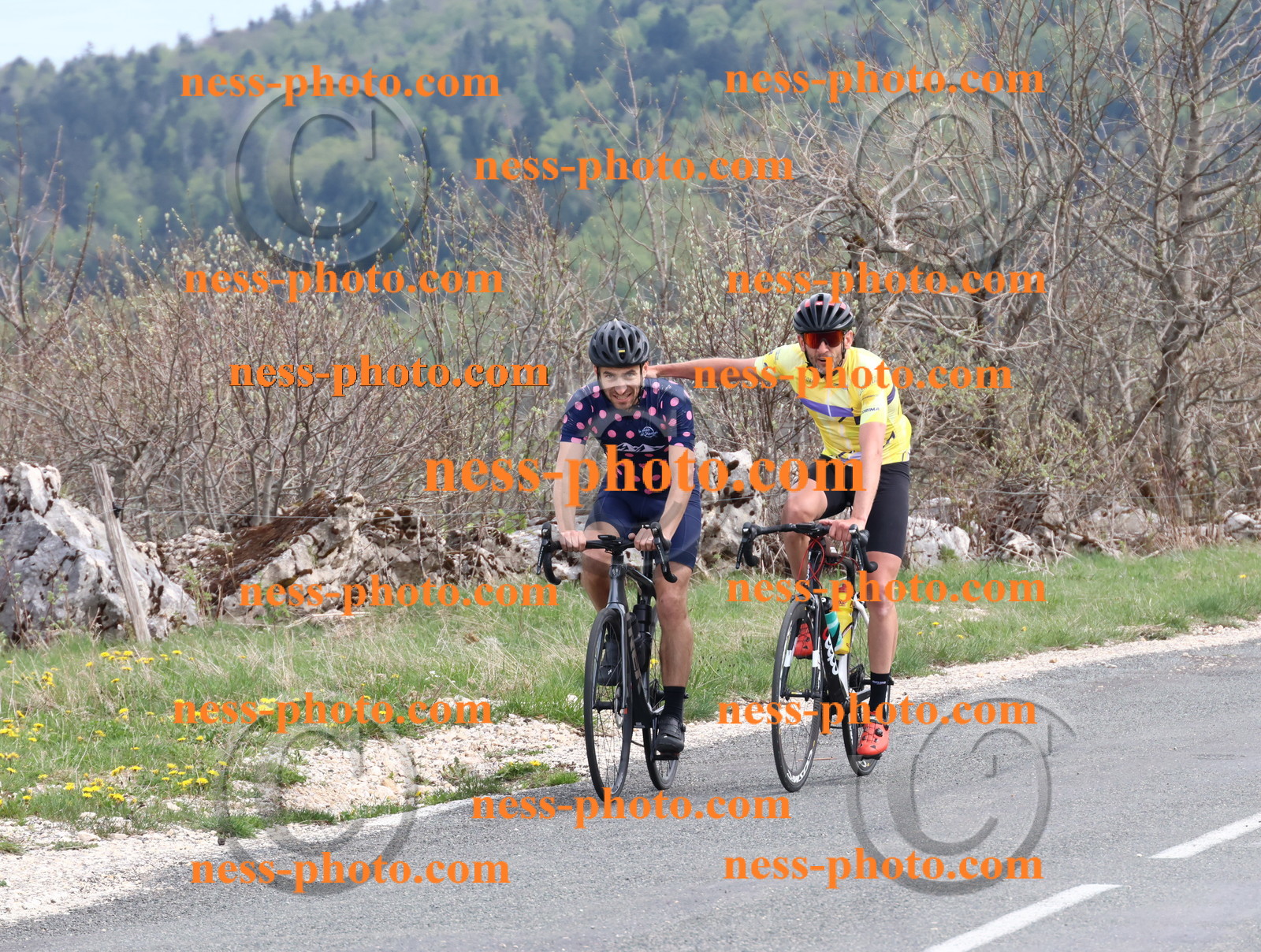 Col du Grand Colombier (1151).JPG