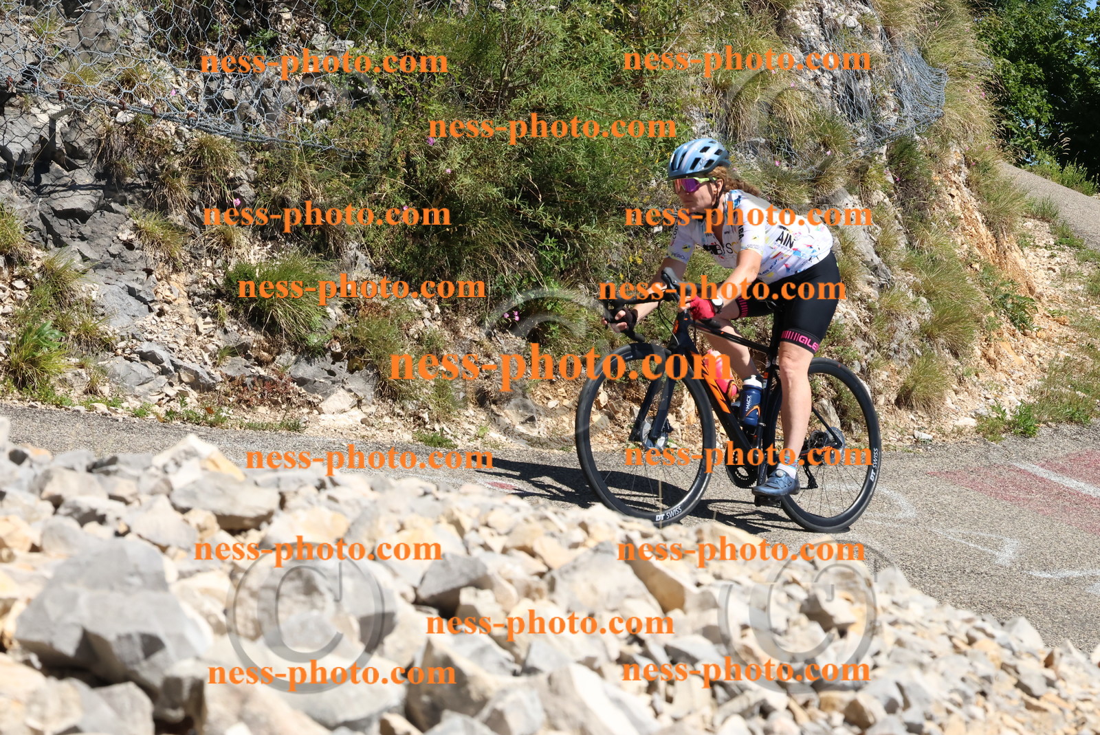 Col du Grand Colombier (666).JPG