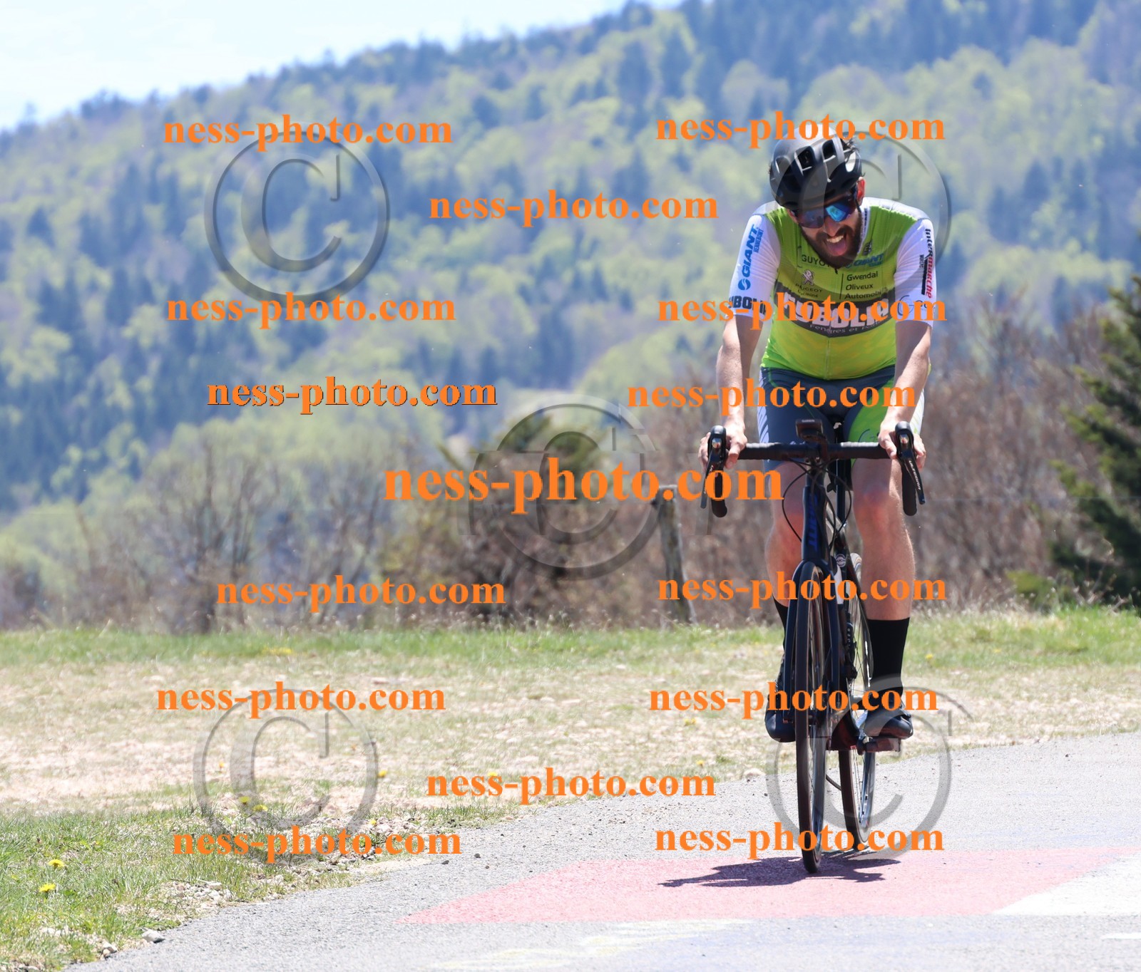 Col du Grand Colombier (530).JPG