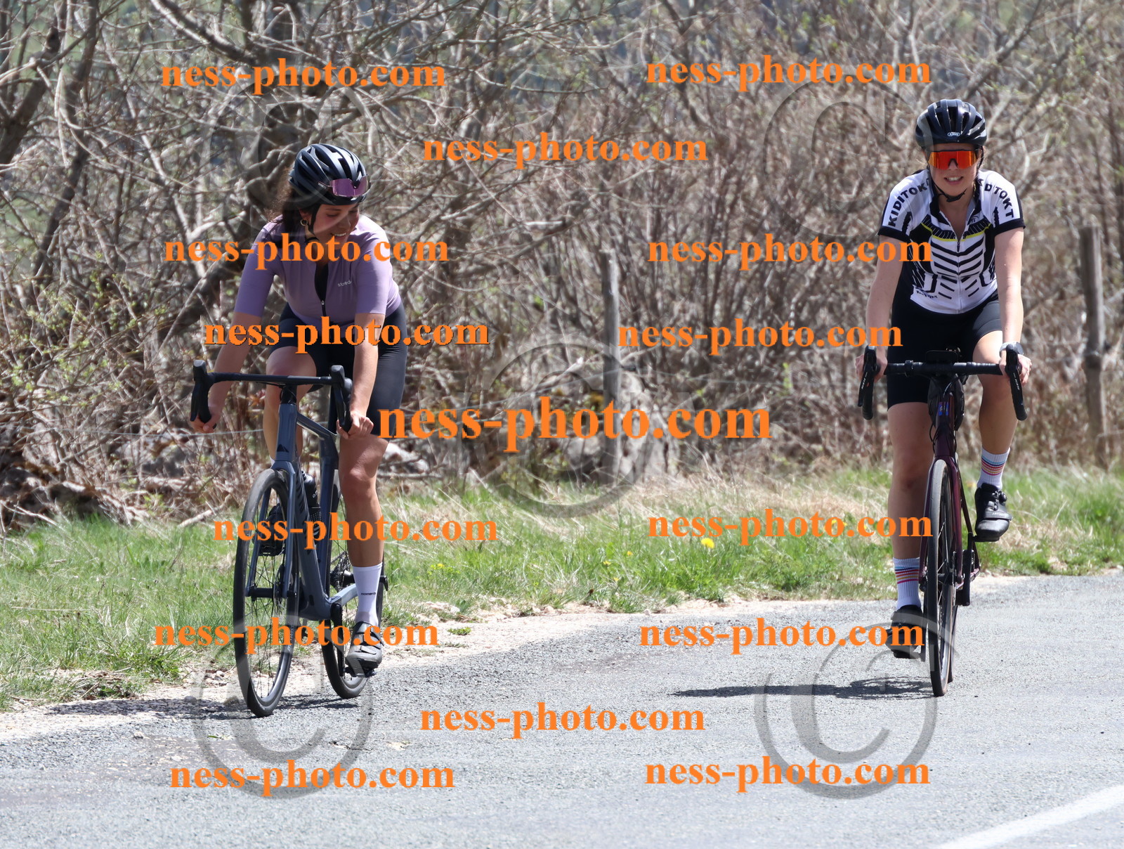 Col du Grand Colombier (864).JPG