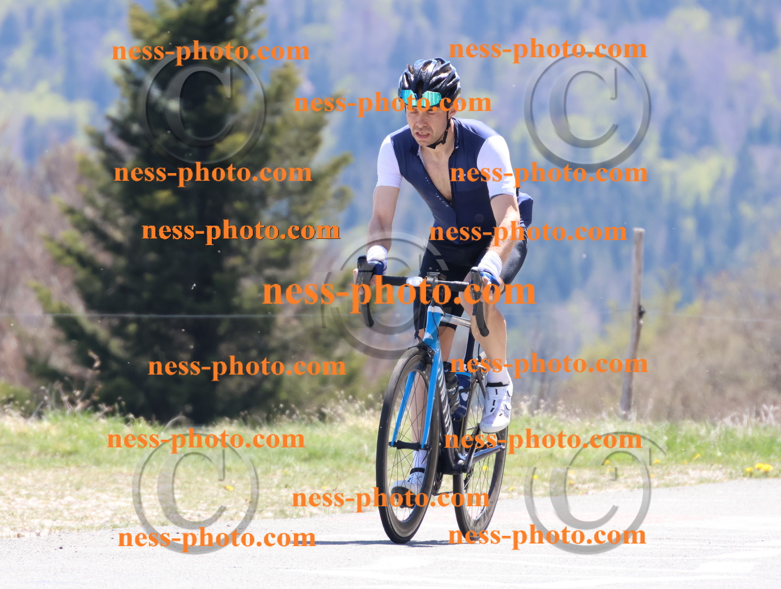 Col du Grand Colombier (767).JPG