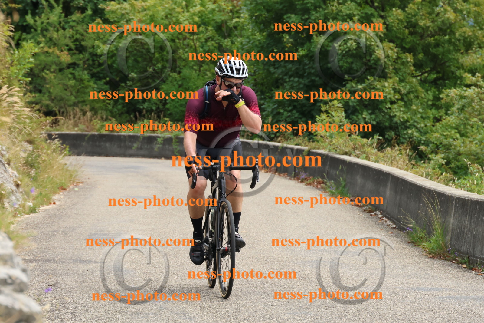 Col du Grand Colombier (314).JPG