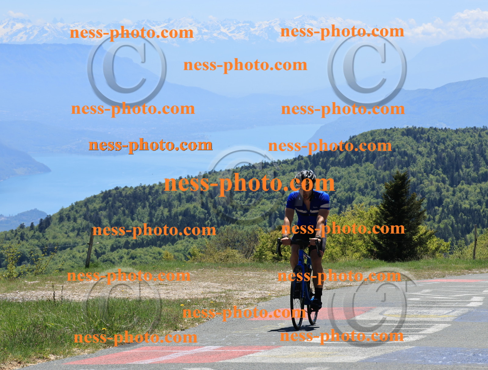 Col du Grand Colombier (373).JPG