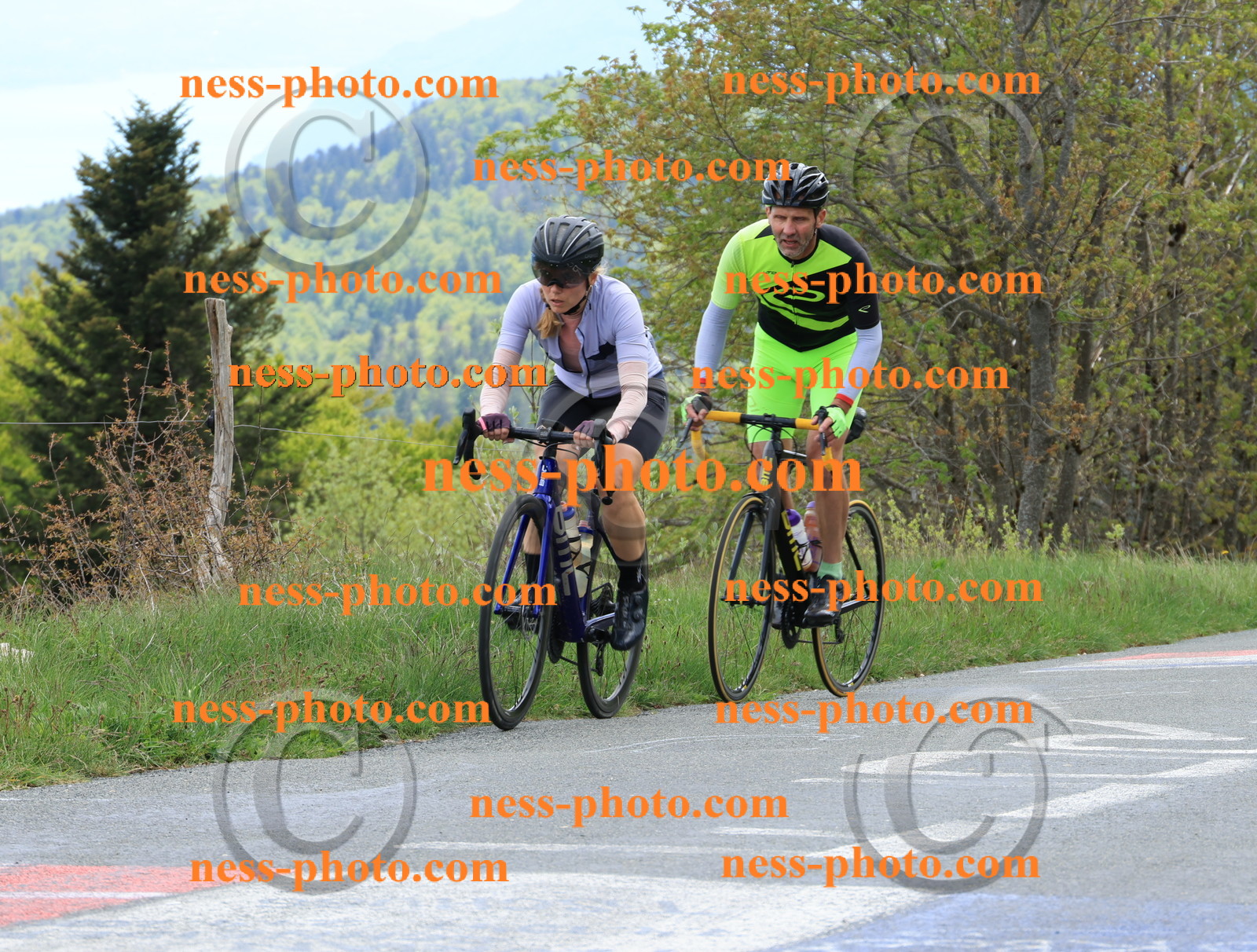 Col du Grand Colombier (536).JPG